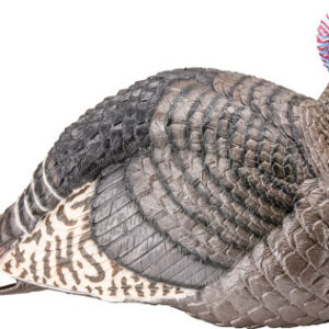 HS STRUT TURKEY DECOY JAKE - STRUT-LITE